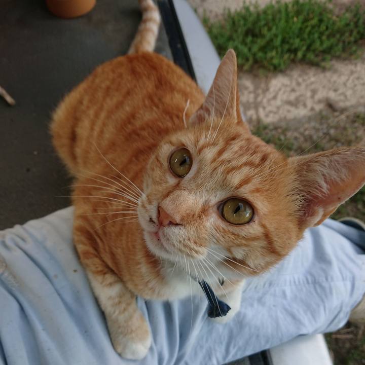 2220ea84 782e 421c a3b7 ebed1fccb32e 1563180222746