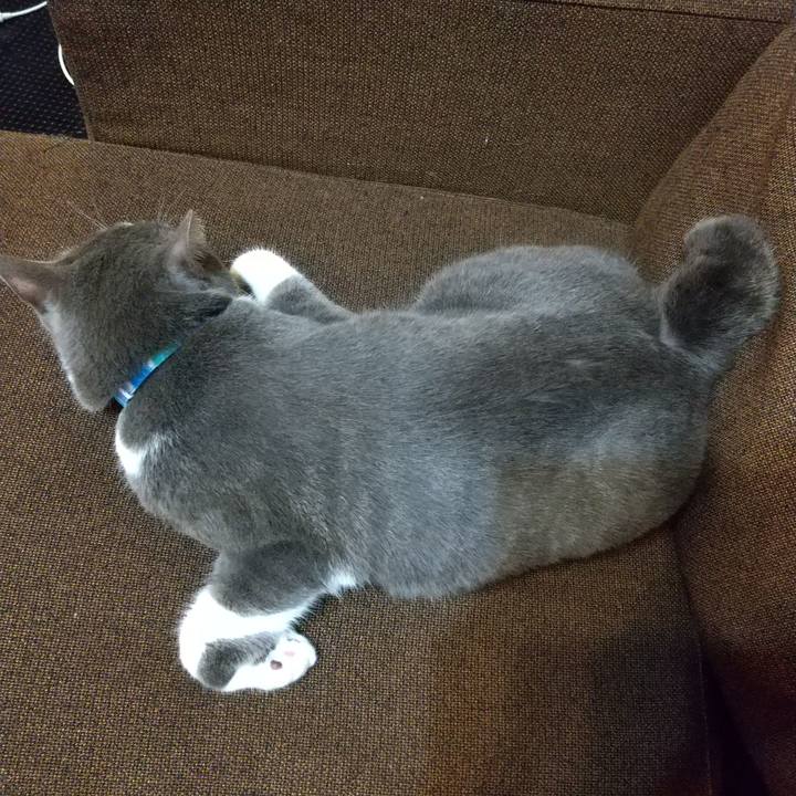 22211c73 ac89 4c82 9b74 aaad5e08775e 1649559382143