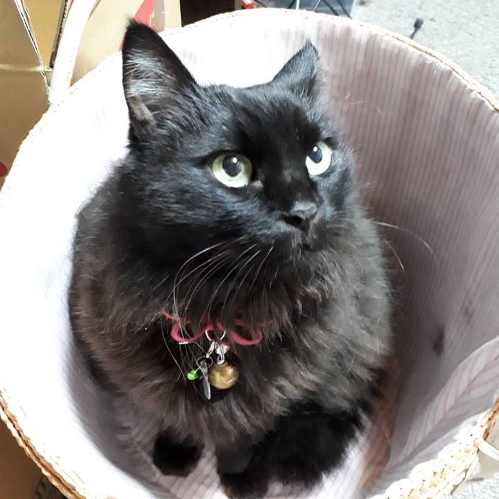 22213512 8c31 42a9 b85c def5a6bda441 1547183899007