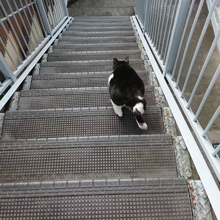 222191fe bf51 4060 a1f0 c3d037941028 1581652663323