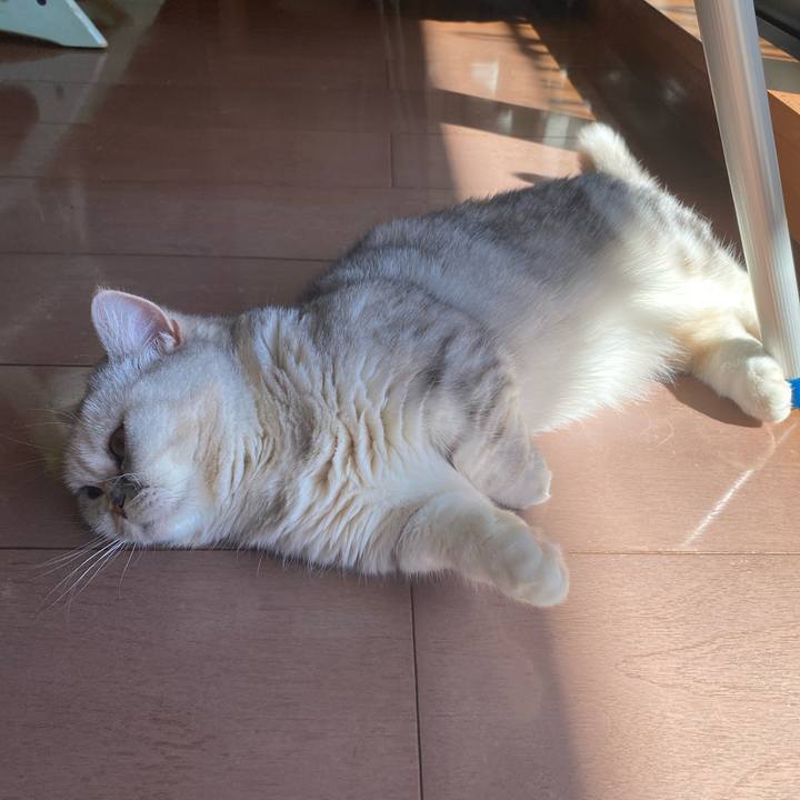 22219ab1 759e 4395 9ef5 57eb8088f45a 1739241656128