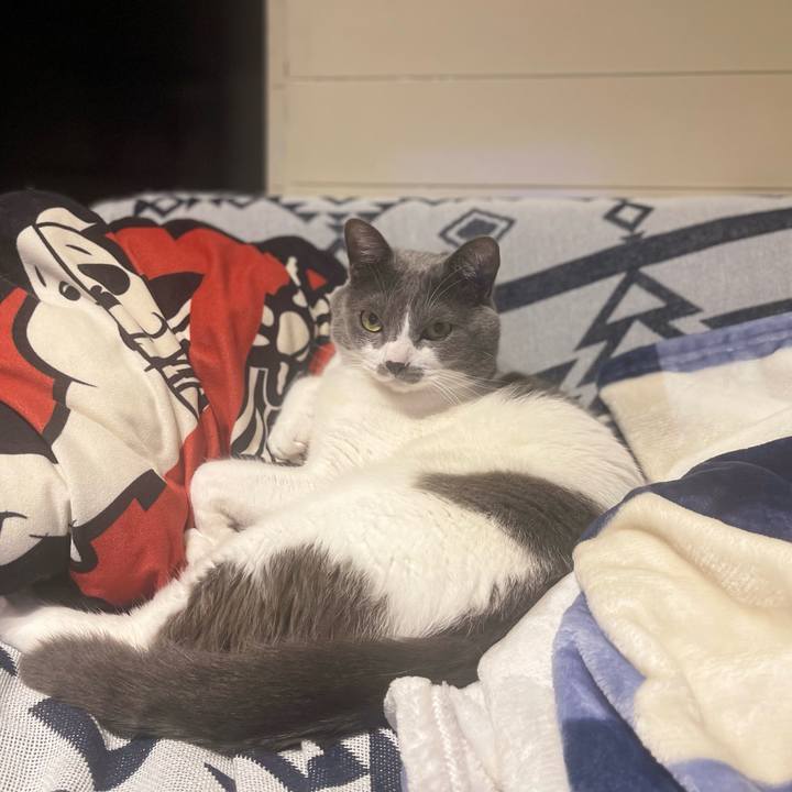 222239b1 1f7e 467d b38c c2cce7fbddeb 1673797734719