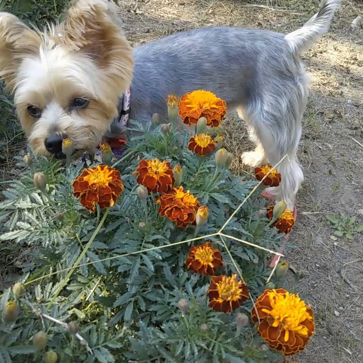 2222a173 d4ce 49fe b52f 81bed697e467 1697940279772