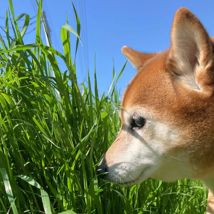 2222a6e2 bcb2 4b4d 9f28 f5651eb4ae26 1682580517339