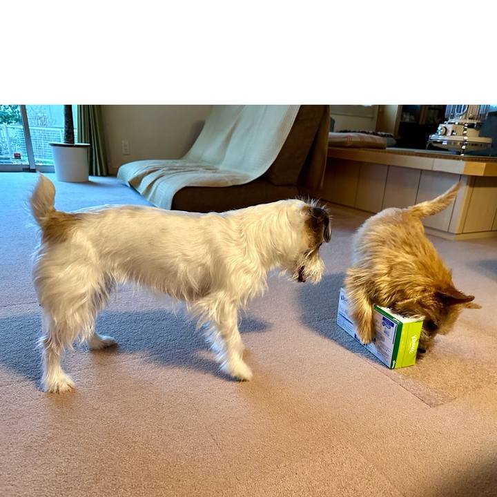 2222bc6c 67e5 485e a1db 0c3425b20ffe 1712067220205