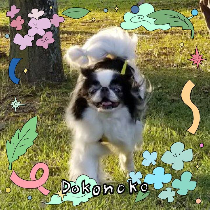 2222c77c 14db 4f2a aa58 2a8ebe349729 1718003580753