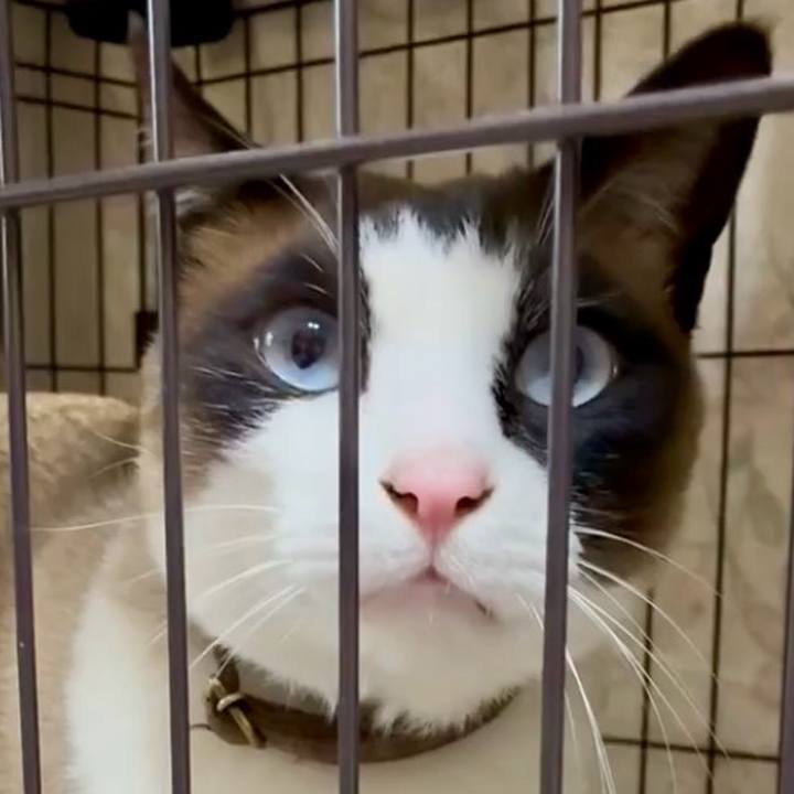 2222f132 66b5 40ce bb6a b53c749f41d0 1746870806014