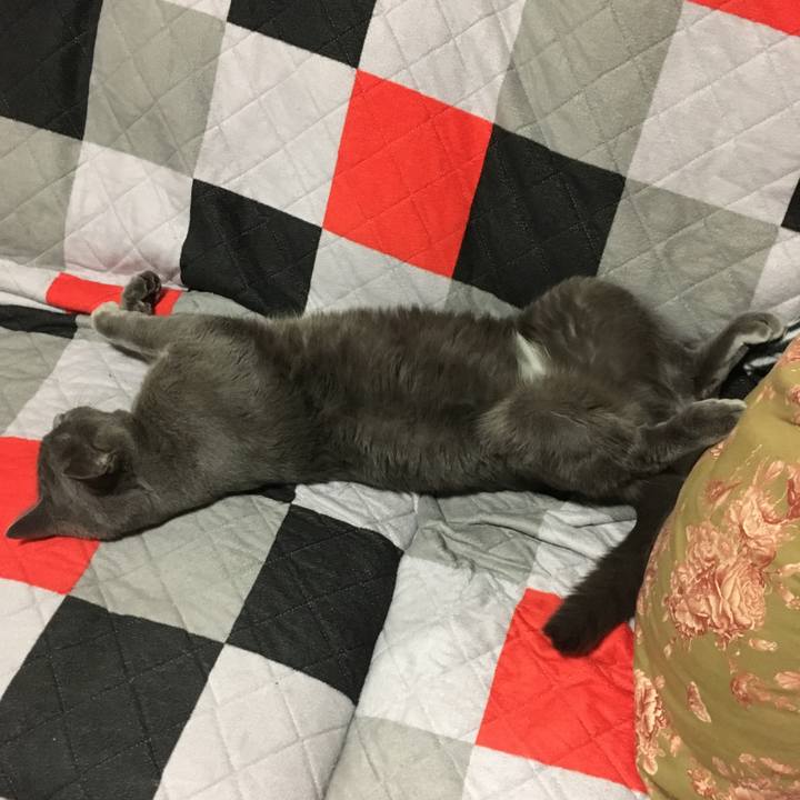 2222fcdf abe2 490c 99d4 8ad150c7e7e3 1638642615814