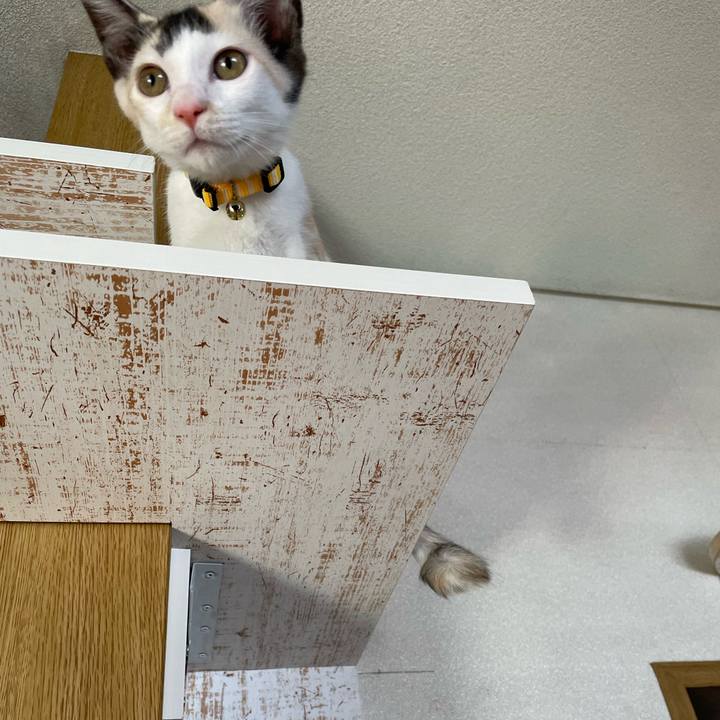 2223224c f7e4 4ae2 b74b 79af48a02667 1659318923644