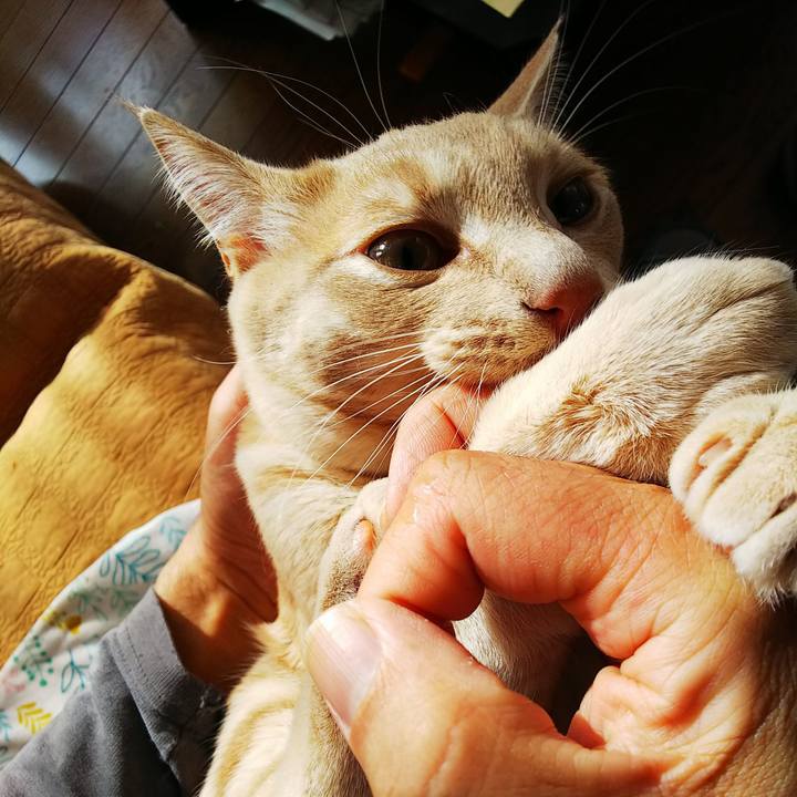 22232b4e 244d 4cbb 8544 194c088f6705 1550967017303