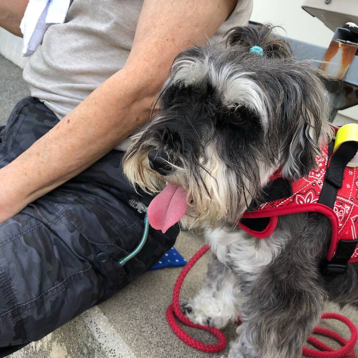 22234c04 7745 4328 8462 872937b14e87 1530408476138