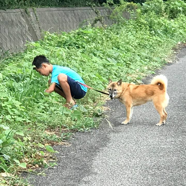 22235145 550f 4447 92d0 7a4bb374c6bf 1535966021470