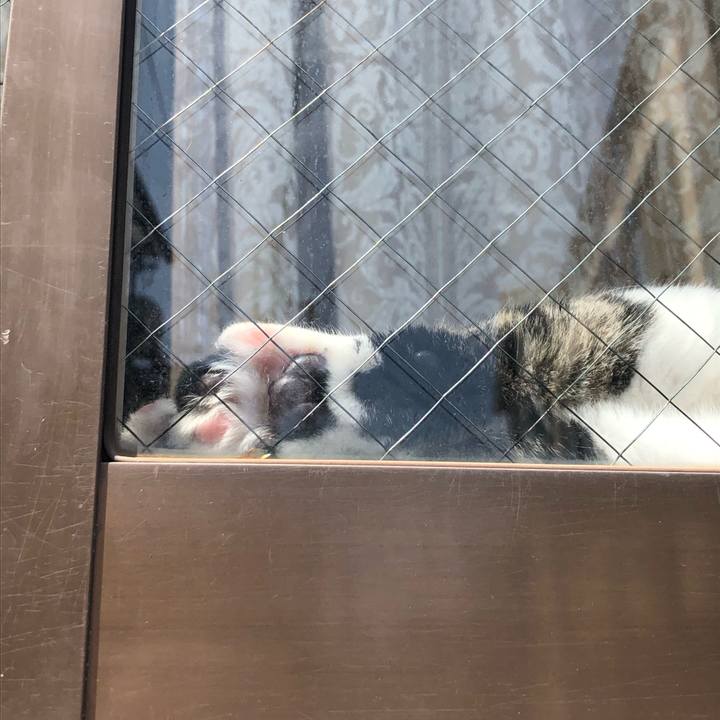 222363a1 1524 43e8 9865 eaee346efe66 1593519372493