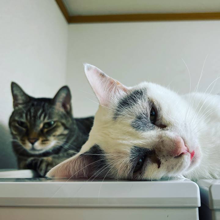 22236ded 945b 4054 8685 c01608039d32 1661257666627