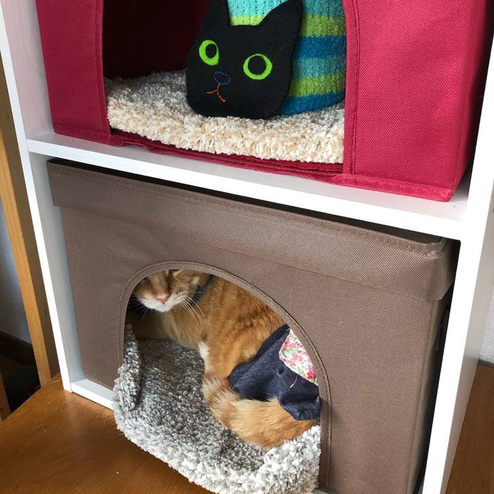 2223d43d 06fe 4730 ad38 e5c1ea54803a 1584680206465