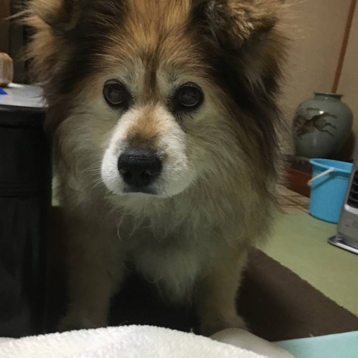 22244670 0cc4 4cc8 9505 c3a1a64814dd 1600246425836