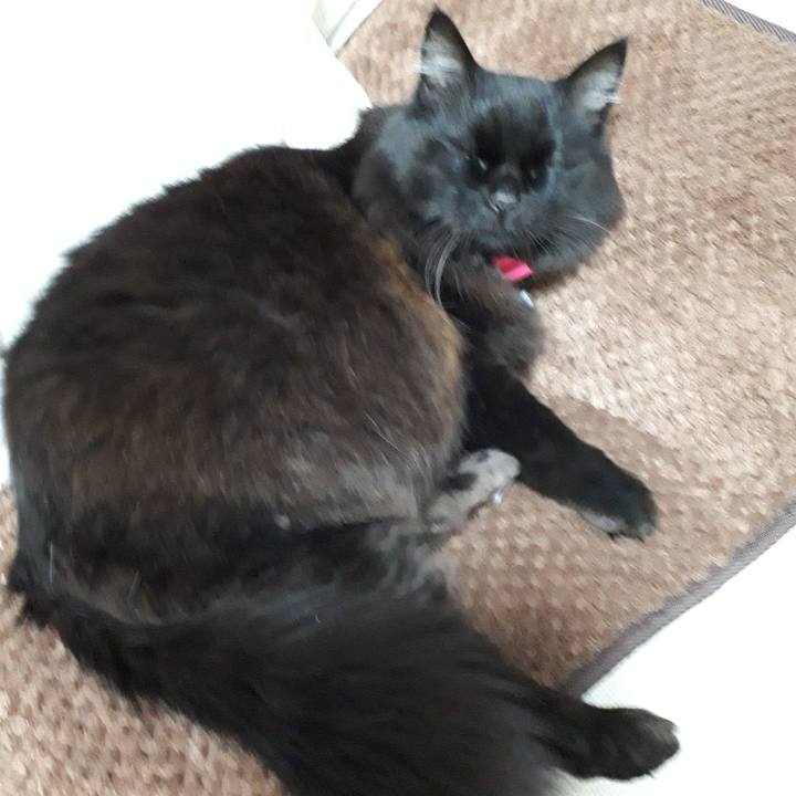 222489bc 2a38 4520 87a1 4b06d57028a7 1518250343565