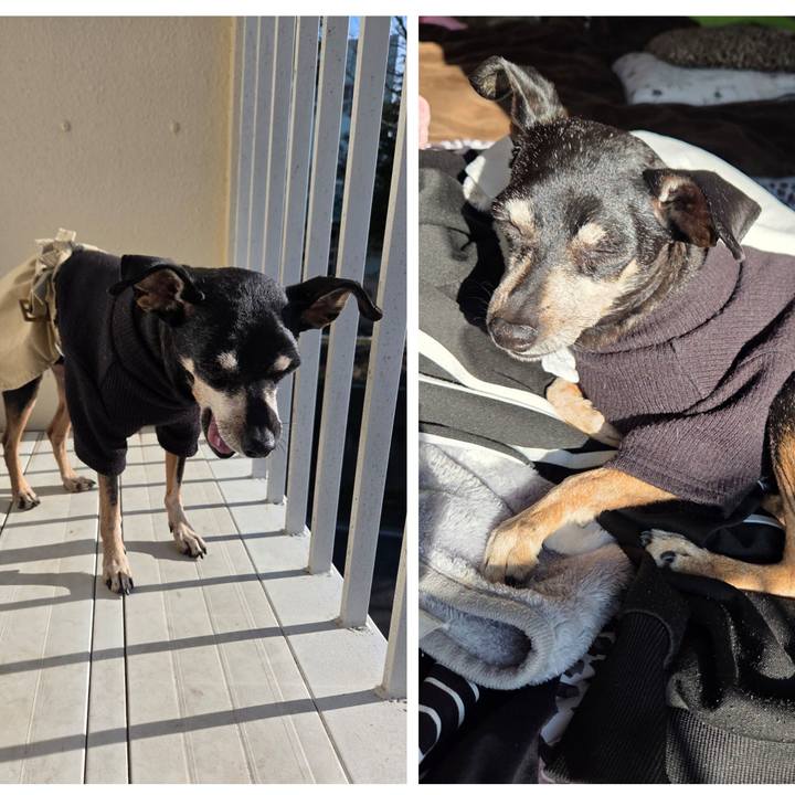 2224a042 7872 42ef a669 d92560a0bf5c 1767160068834