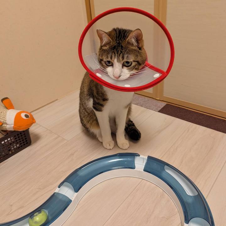 2224c50b 25fb 468f 96b6 a32aeec1afd0 1773190604028