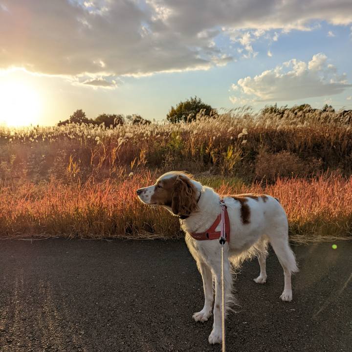 2224d4b5 e064 4540 9950 77f40efc8000 1637916184215