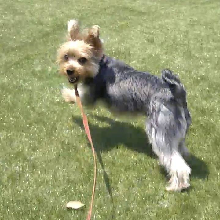 2224e335 12dd 4bad 83b2 76b0beba5219 1559881117038