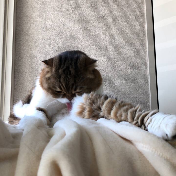 2224f187 8b1e 4a7e 8757 34562b32016f 1538115384465