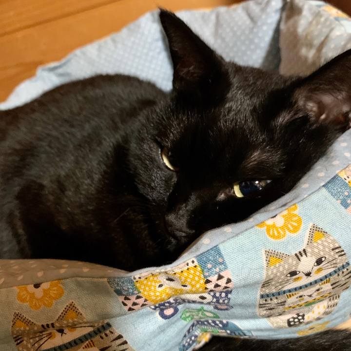 2224f235 1e33 4838 8ddc 5e0ea5297f9b 1601128830891