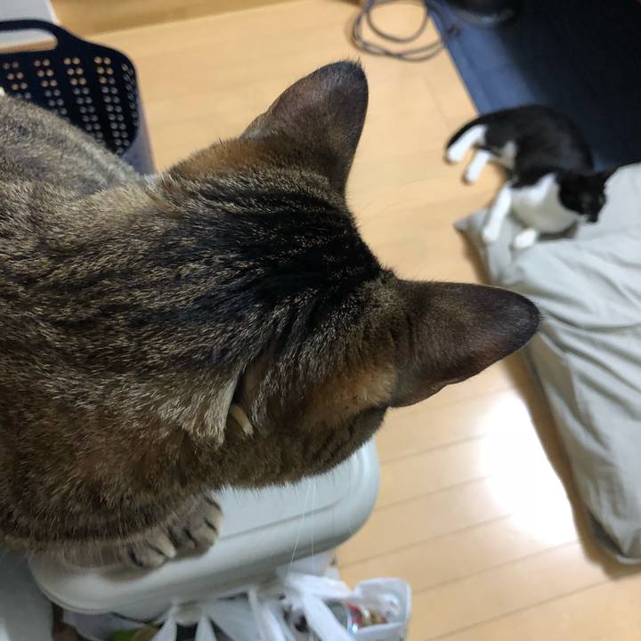 2225484d 60a0 4f40 a701 d4497ef6118a 1531078671417