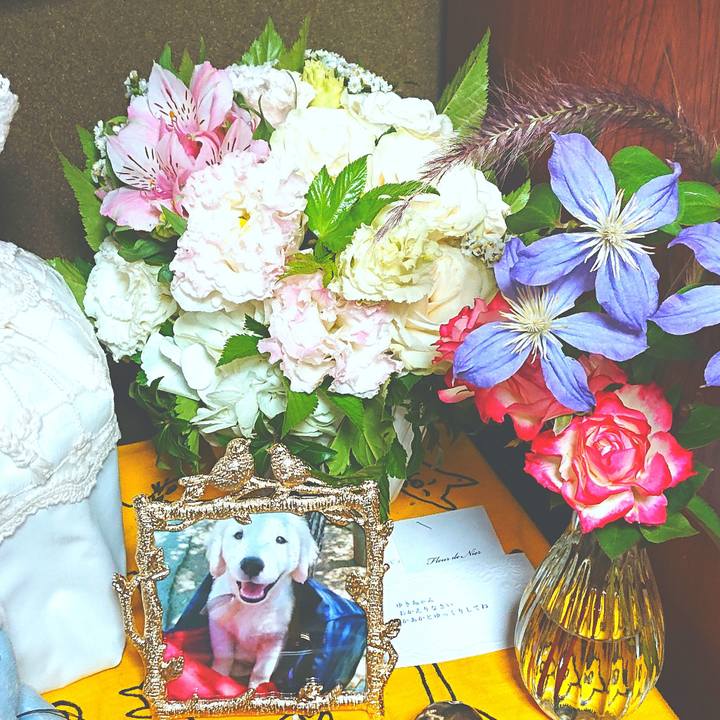 222551ca 3783 48f5 951d bd3ddee8c23e 1597191727603