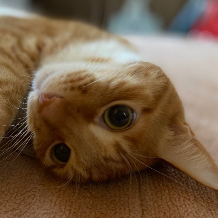 222551ec 9d2a 4bd7 ba62 fb4bc346b436 1608622079321