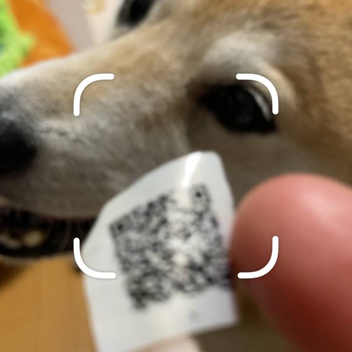 22259eb4 f8cf 40e1 bef2 40d0fb540e63 1624288575032