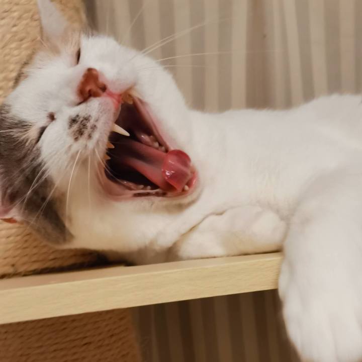 2225ba54 4634 4ed3 9978 afb9cc4825a7 1623226268188