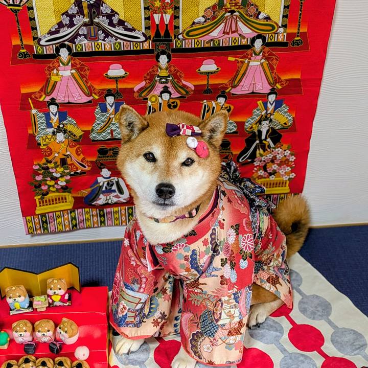 2225c38e 6777 4d56 b502 e3c43f9471aa 1772515787839