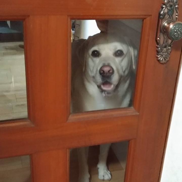 2225eea3 ff1e 4be6 bccb 6dd2d2b0604c 1537617454895