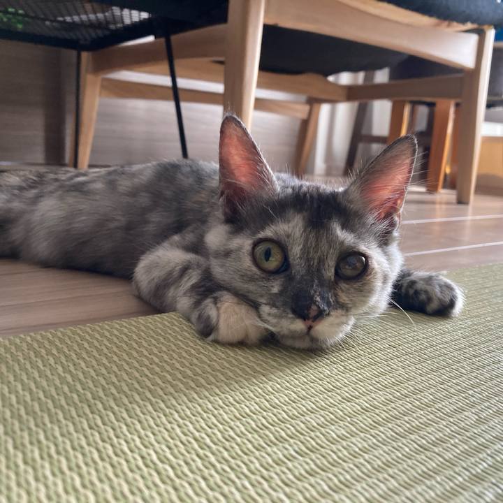 2225f710 ef7f 4230 8cd6 7469f2b3305a 1695081790681