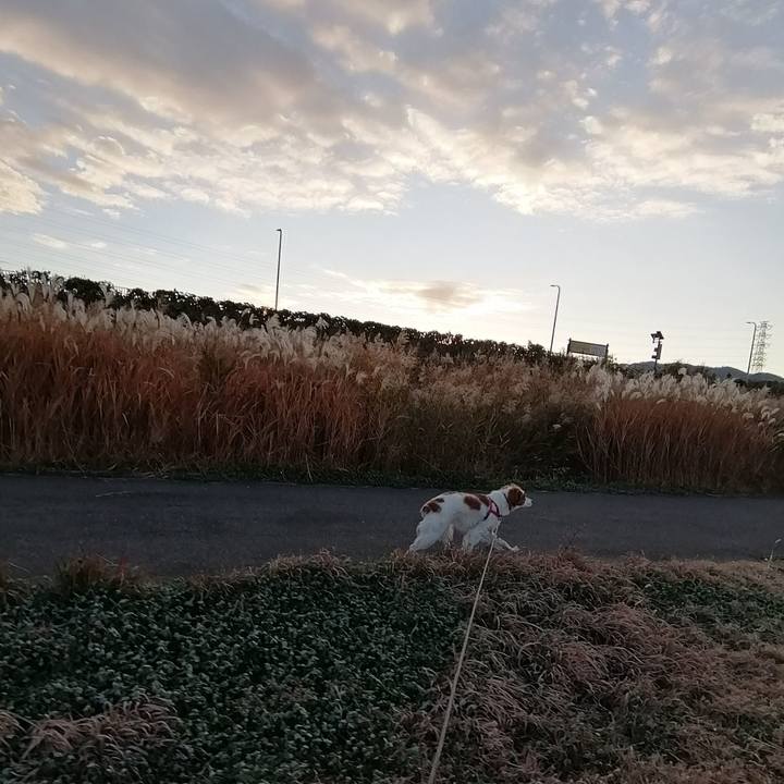 22264abb 9314 40c4 ae33 5829c8611055 1575418075546