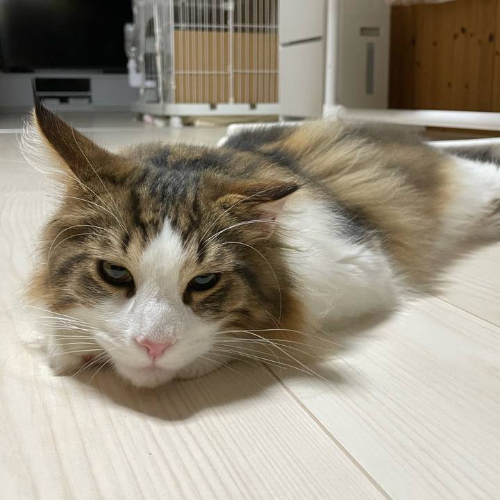 22267607 ff51 42cf 909a 43d9f8b953e6 1639655348046