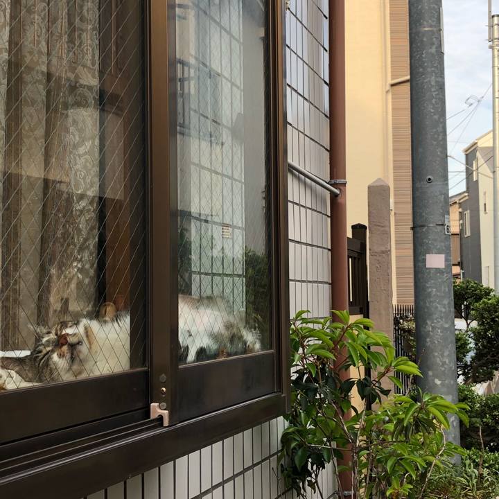 22267ef1 f3da 4643 a7ad bc1c041995a9 1527665697126