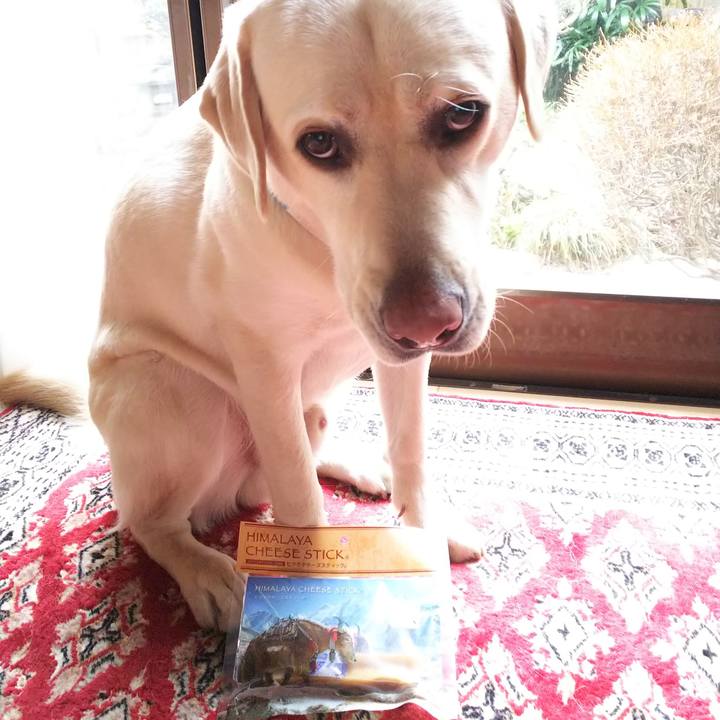 222687b6 fcf3 4273 a62f 134e97a63989 1518333468104