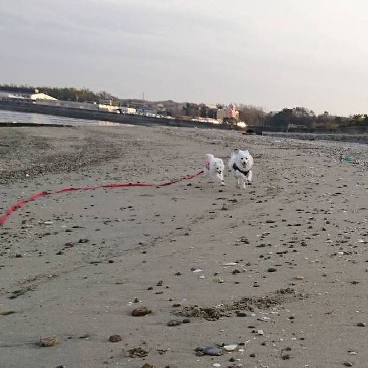 22268d5e 39ae 48a4 a465 8921e7b2c6df 1551007360938