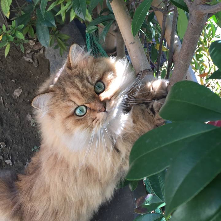 22268e2d ddc7 4645 bb5e 7e7dc10ad7a3 1512965389146