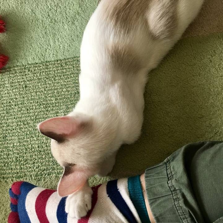 222695a3 8051 4dde b0f1 8ee560122d9c 1536211776707