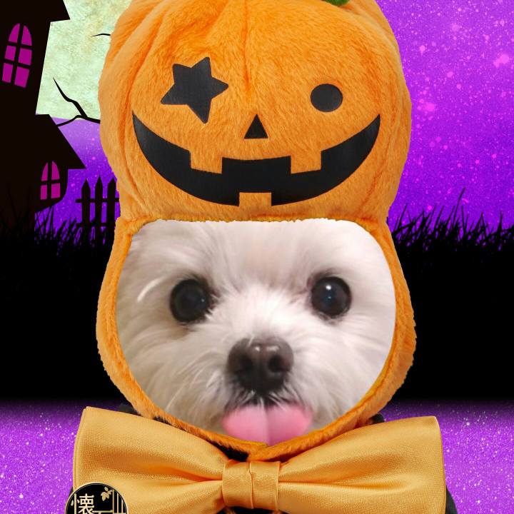 2226bae9 5e9a 4bd2 8171 4aae5f861f83 1509448408438