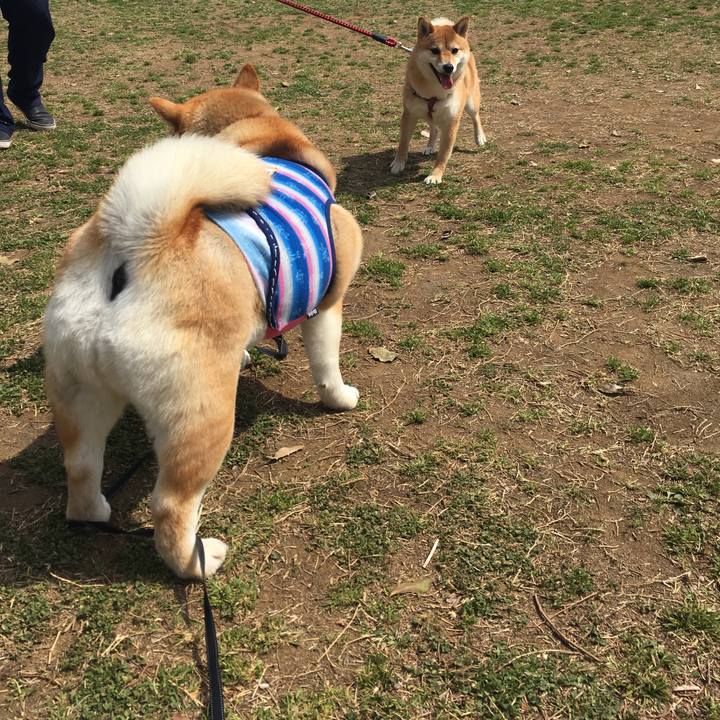 2226e18b 9902 4522 99bf c0b8c203176d 1553489224519