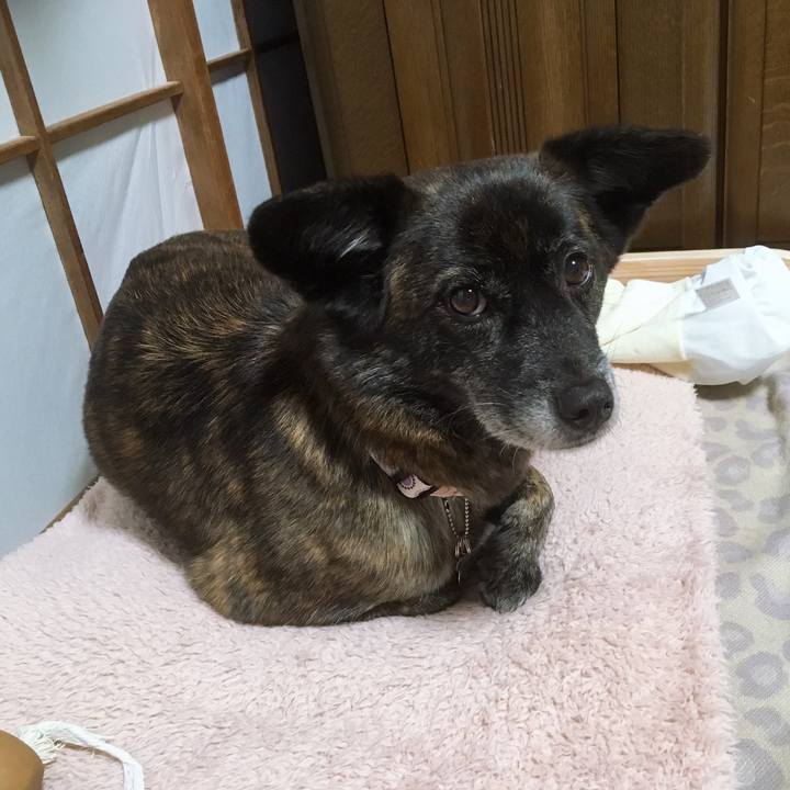 22271dbb 9d08 4fe7 a263 32f67a757ec4 1552470827773