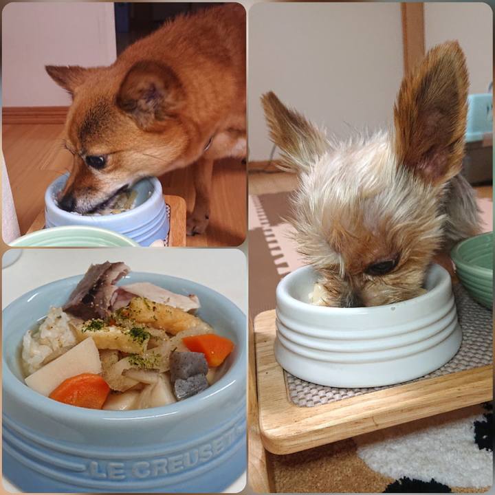 22271ebb d10e 415e b563 37bf565a70af 1596362174050