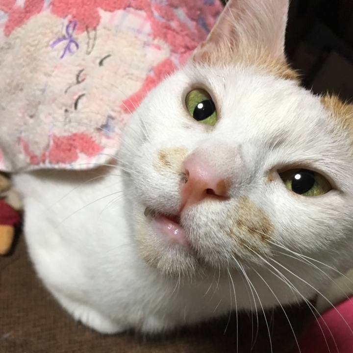 22272438 4553 40a6 b573 68982a66c27f 1561818089776