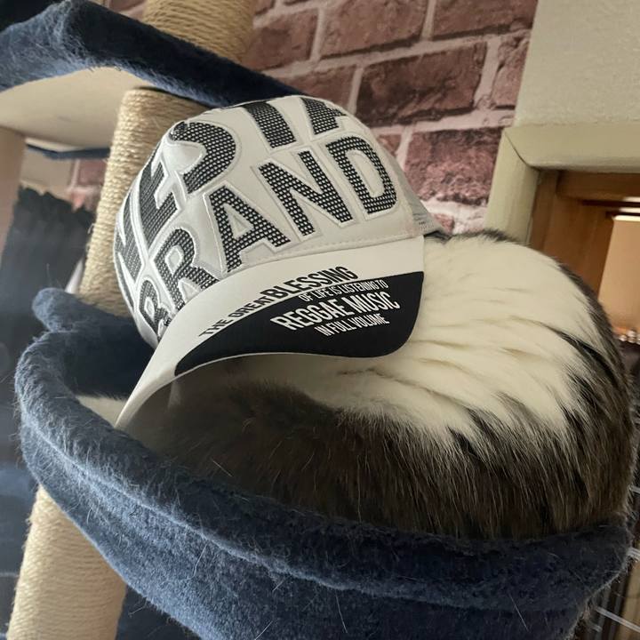 22272683 0dda 4baa 87c9 e22669cc42eb 1684062972750