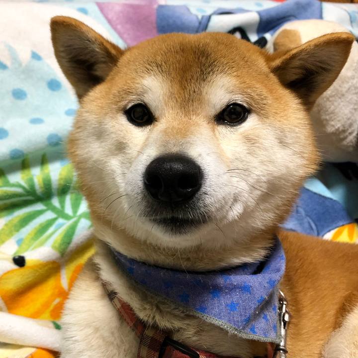 22272d69 4f26 4693 900a b5fedf221df4 1558004955500