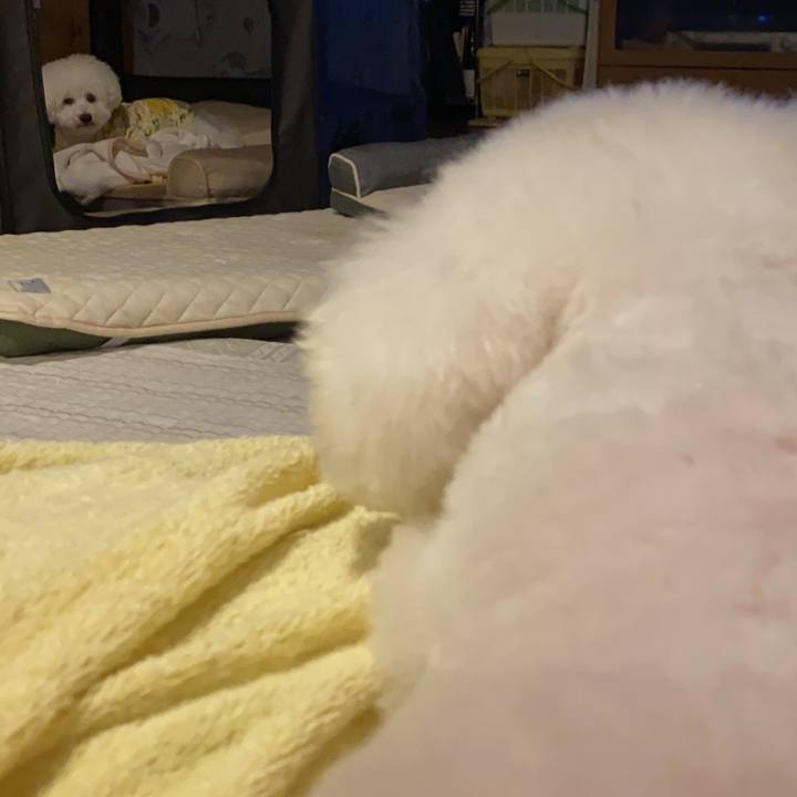 22273813 0a1e 4052 8064 a49bb8933f18 1695378729174